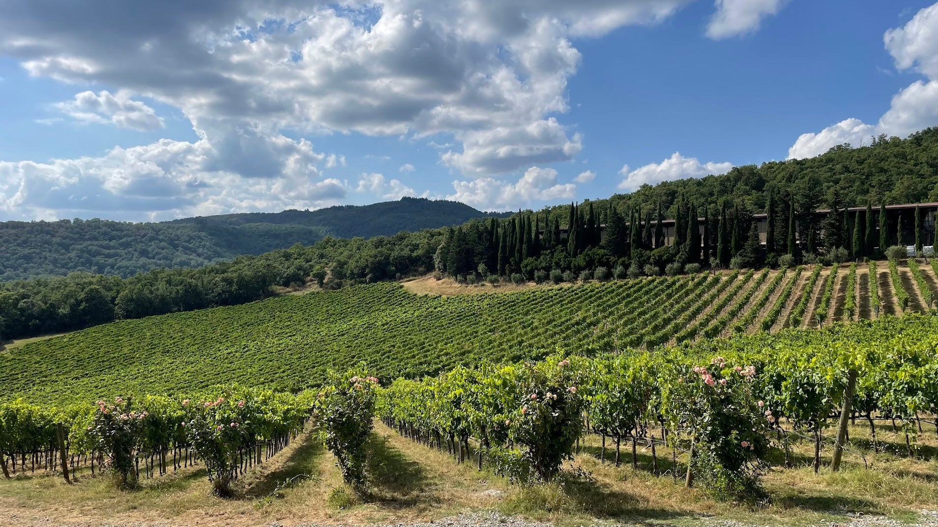 Fra jord til bord: Hemmeligheden bag Italienske råvarer