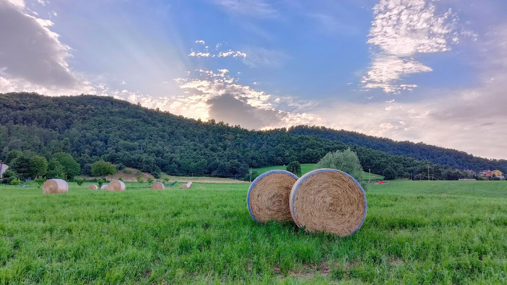 Smagen af Italien i Danmark: En rejse gennem ægte italienske specialiteter